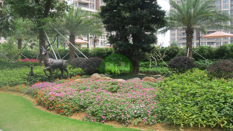 写字楼绿植租赁报价单
