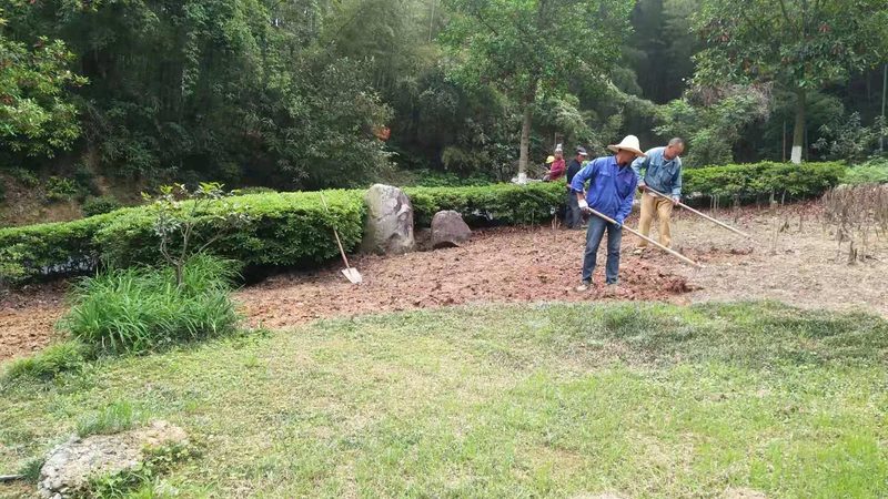 小区绿化草坪铺设公司