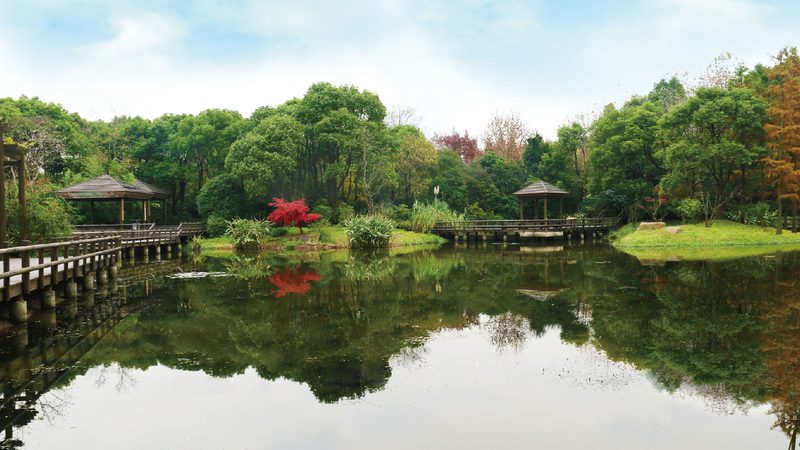 别墅假山喷泉，如何打造一池碧波与山峦叠翠？**
