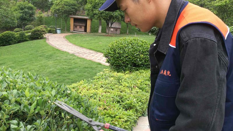 成都花园设计：别墅定制中的生态美学考量**