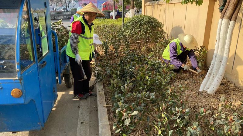 绿植租赁定制方案哪家好