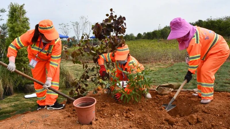 园林绿化苗木采购清单表格：如何构建高效清单**