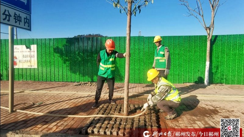 园林绿化报价规范参数解析：如何科学评估成本与质量**