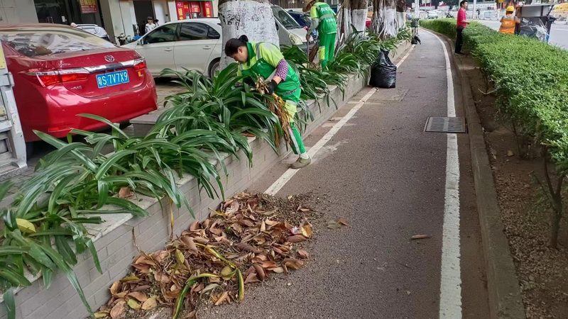 草坪铺设基础怎么做才平整