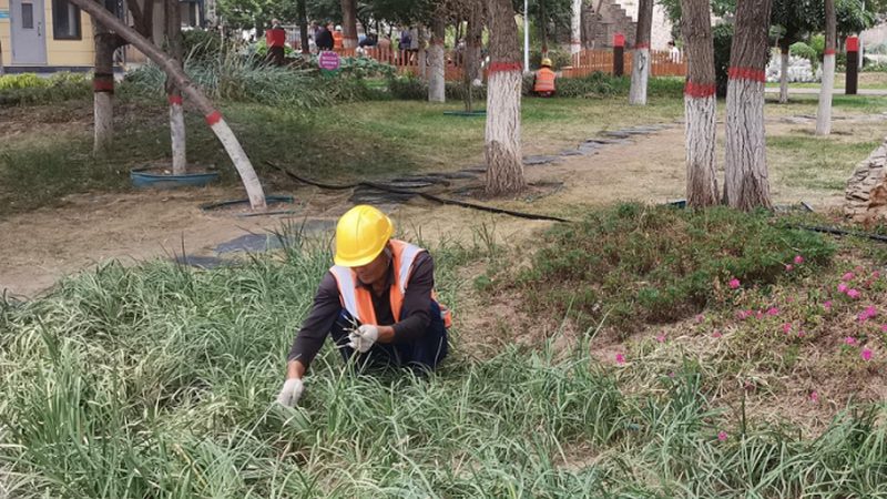 道路中间绿化带高度国家标准解析