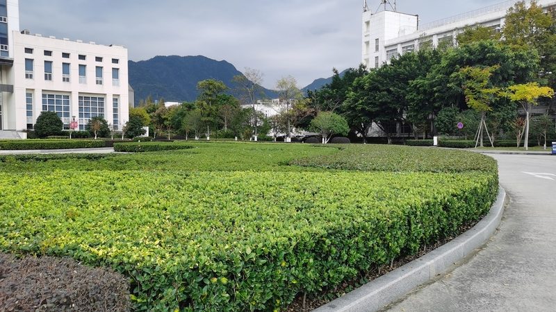 园林公司注册，如何选择靠谱的代理机构？**