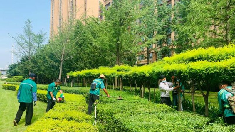 足球场草坪铺设工艺流程解析